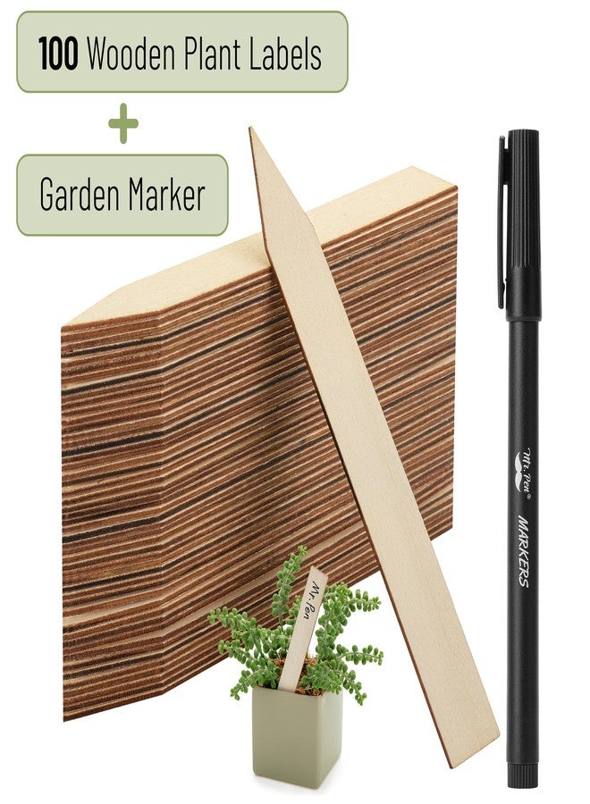 Mr. Pen - Wood Plant Labels with Marker, 100 Pcs, 6" Wooden Plant Markers - Image 2